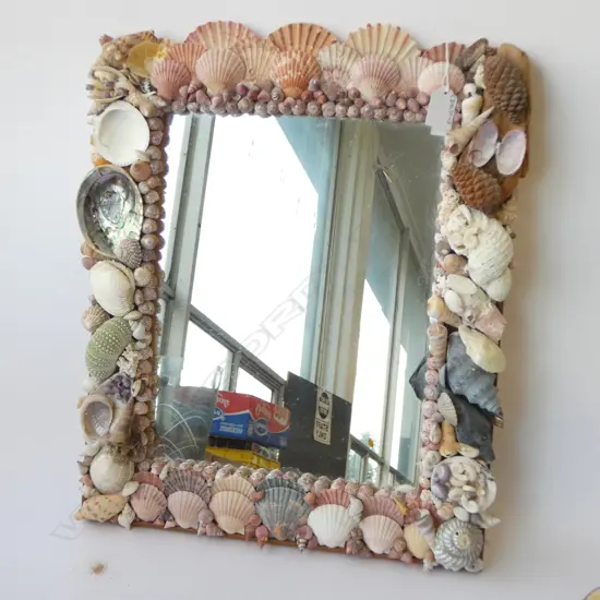 SHELL MIRROR 510x410mm