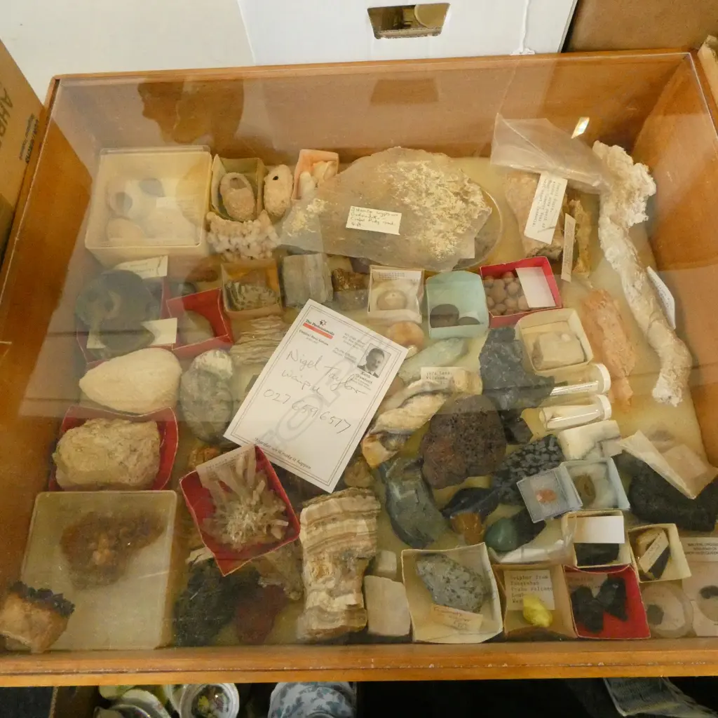 COLLECTORS DISPLAY OF ASST. MINERALS, GEODES, FOSSILS, etc 590x490x150mm Image 1++