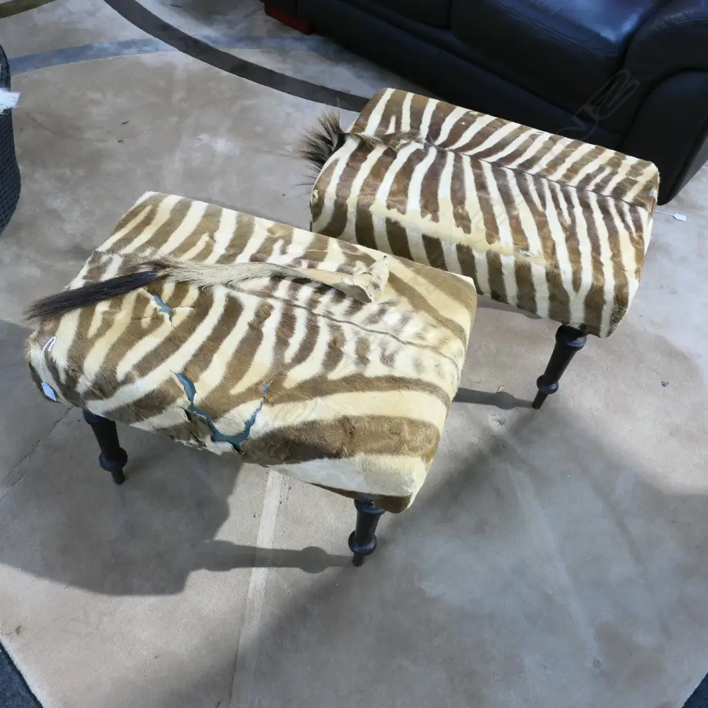 PR ZEBRA HIDE STOOLS (TEARS) 640x430x460mm Image 1++
