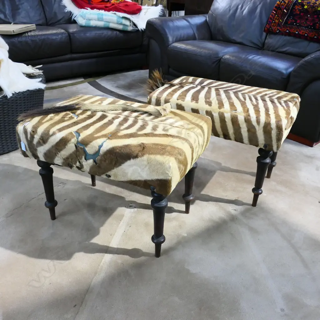 PR ZEBRA HIDE STOOLS (TEARS) 640x430x460mm Image 1++