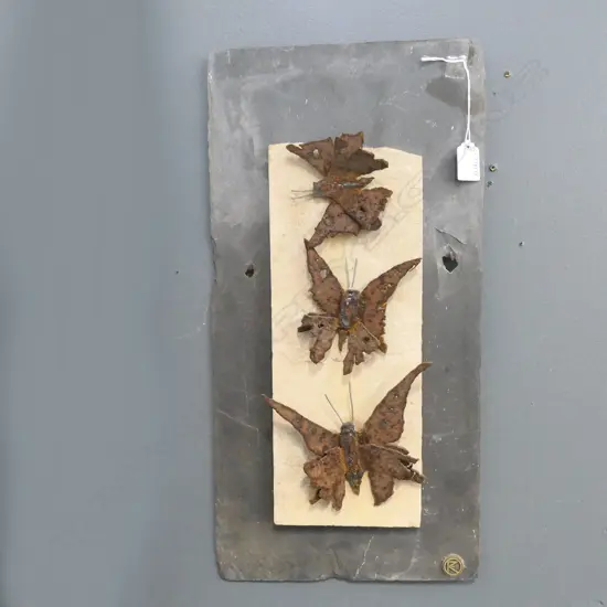 SLATE & IRON OUTDOOR BUTTERFLY ARTWORK INITIALED R H510 W250MM