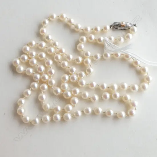cultured pearl necklace silver clasp L.680mm individually knotted orig.est. $2,600