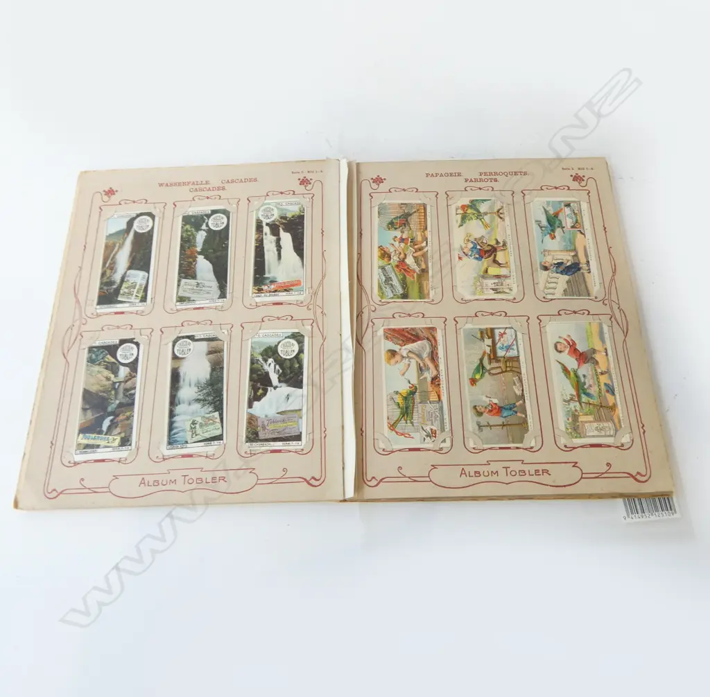 ANTIQUE CARD ALBUM C.1900 Image 1++