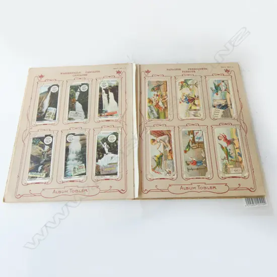 ANTIQUE CARD ALBUM C.1900