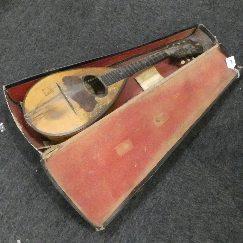 CASED VINTAGE MANDOLIN, ROGIS NAPOLI L.650mm Image 1++