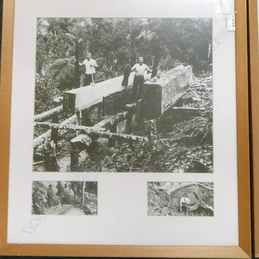 PAIR OF FRAMED HISTORICAL NZ LOGGING PHOTOS; LARGEST PHOTOGRAPH 330x380mm Image 1++