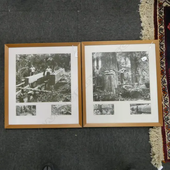 PAIR OF FRAMED HISTORICAL NZ LOGGING PHOTOS; LARGEST PHOTOGRAPH 330x380mm