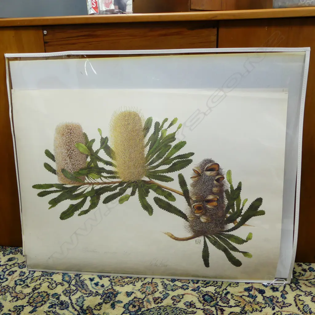 ASST. BOTANICAL PRINTS & ETCHINGS... Image 1++