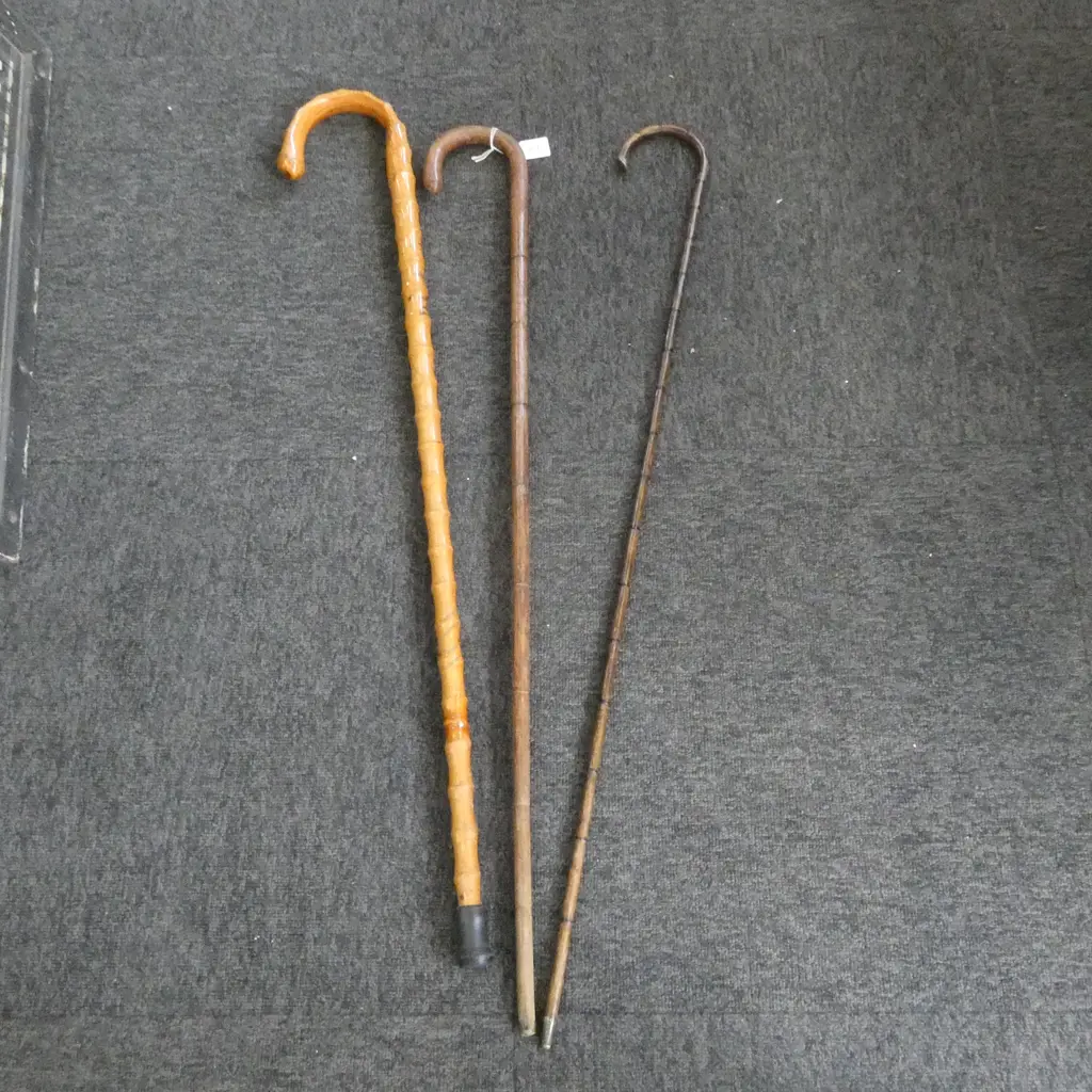 3 WALKING STICKS L.915mm Image 1++