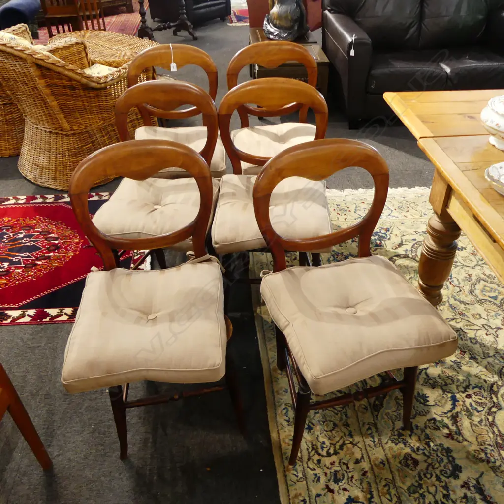 6 BALLOON BACK CHAIRS + SEAT CUSHIONS Image 1++
