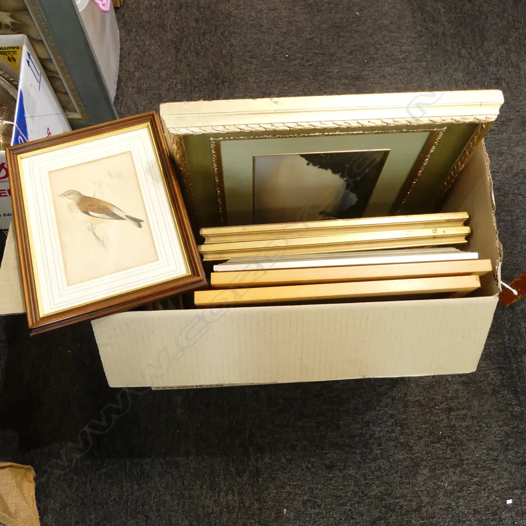 8 FRAMED PRINTS & 1 W/C ORIG. BY DEVON HUSTON Image 1++