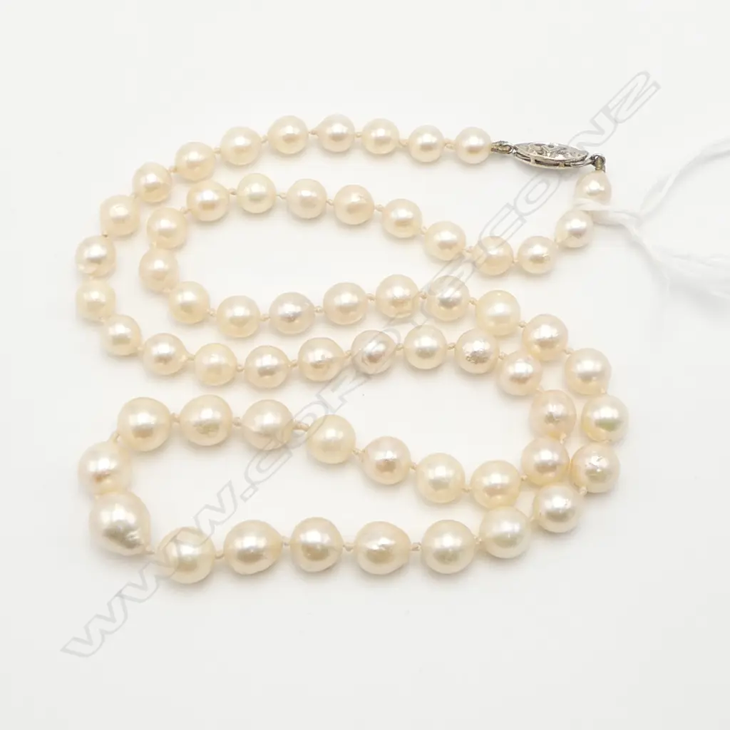 STRAND OF GRADUATED CULTURED PEARLS good size largest dia.9.5mm silver clasp Image 1++