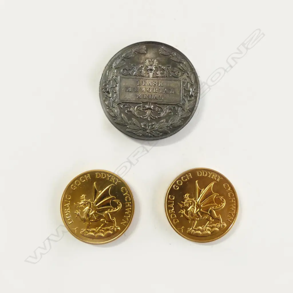 **RTV**  MEYER & KEANE SILVER OTAGO DENTAL SCHOOL MEDAL + 2 1969 Prince of Wales Investiture Medals Image 1++