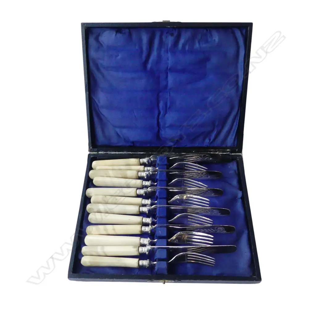 6 PLACE CASEIN HANDLED E/P FRUIT SET OF CUTLERY Image 1++