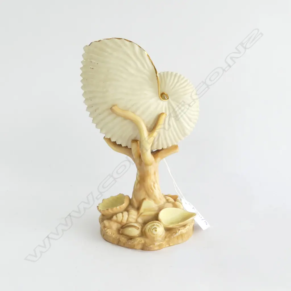 ROYAL WORCESTER NAUTILUS VASE H.170mm Image 1++