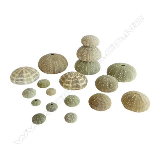 18 KINA SHELLS 110mm dia