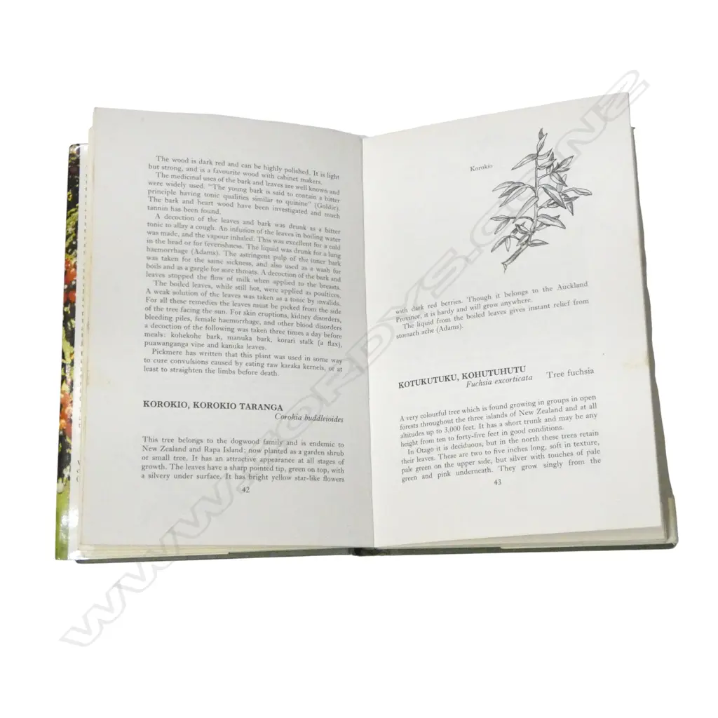 BOOK; MEDICINES OF THE MAORI BY CHRISTINA MACDONALD, COLLINS 1973 Image 1++