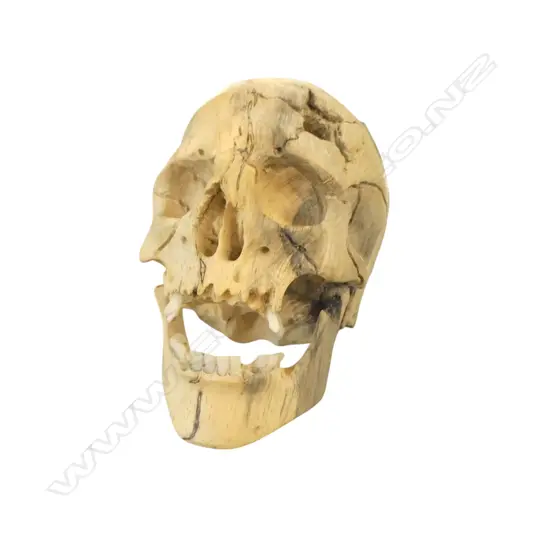 SML BONE CARVING SKULL, H.70mm