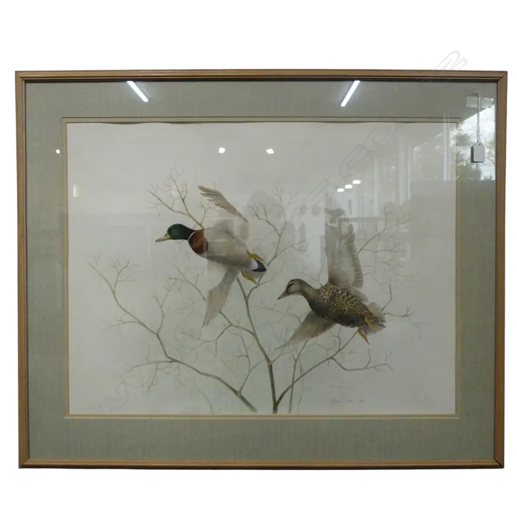 ELAINE POWER, FLYING DUCKS, WC 1973 535x715mm Image 1++