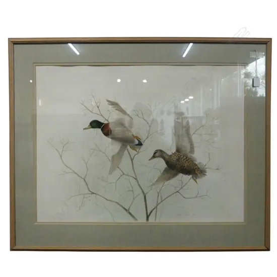 ELAINE POWER, FLYING DUCKS, WC 1973 535x715mm