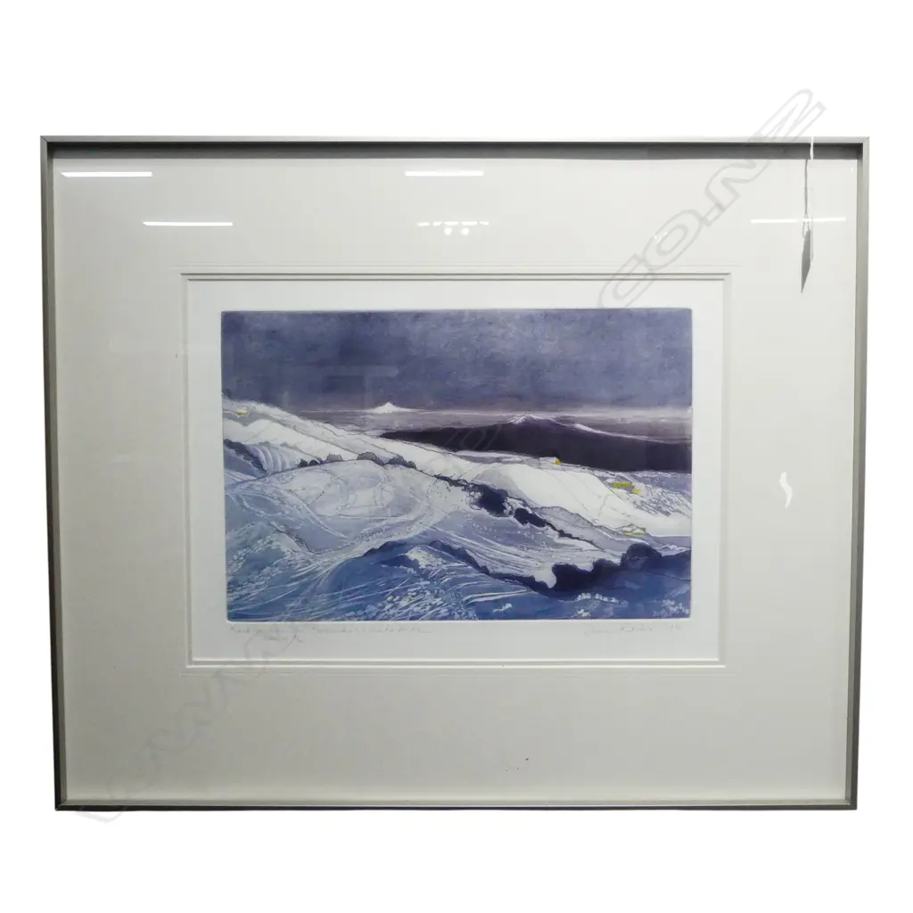 JUNE RICHIE, ROCKGARDEN TO TARANAKI: WHAKAPAPA, ETCHING Ed.8/40, SIGNED & DATED 1986, 300x430mm Image 1++