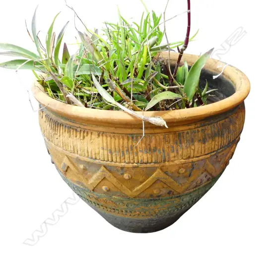 ORCHID IN TERRACOTTA POT (cracked) H.300mm