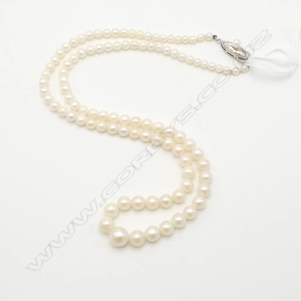 GRADUATED PEARL NECKLACE L.470mm with silver clasp Image 1++