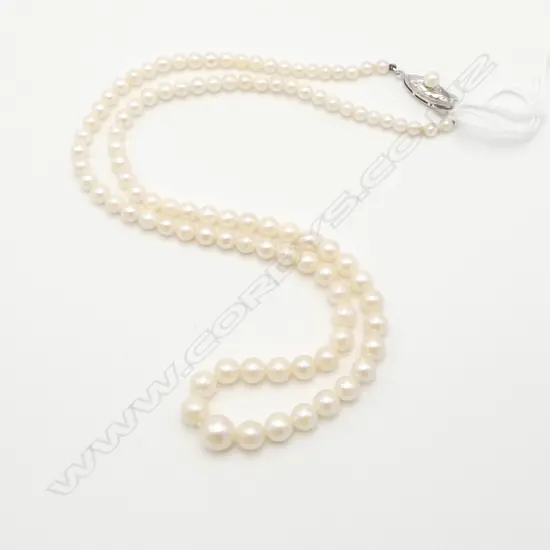 GRADUATED PEARL NECKLACE L.470mm with silver clasp
