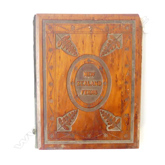 c1900 MOTTLE KAURI COVERED 'NEW ZEALAND FERNS' BOOK OF PRESSED NATIVE FLORA small chip to corner