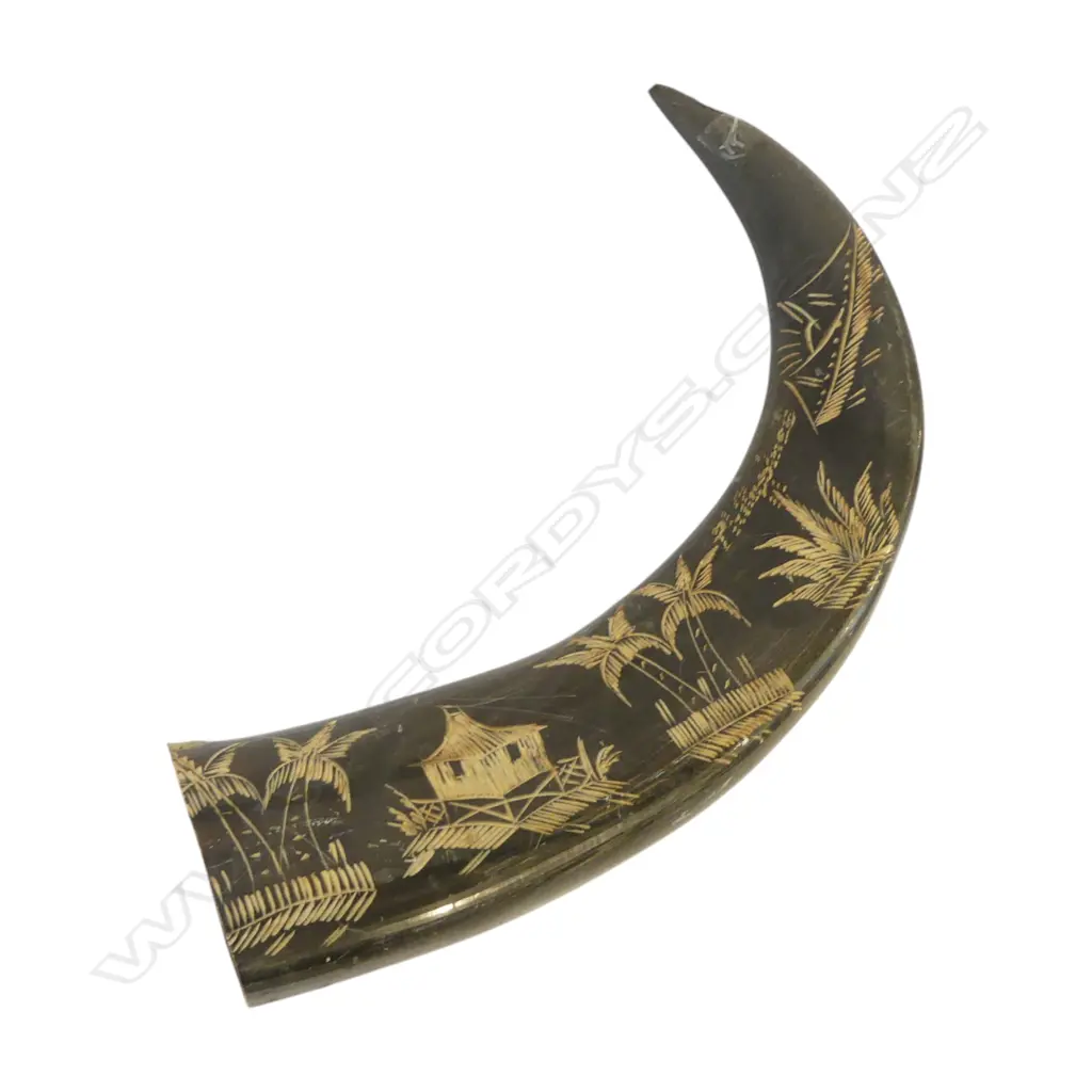 CARVED HORN L.260mm Image 1++