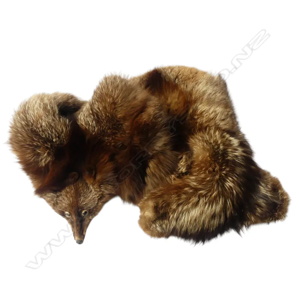 2  FOX FUR STOLES Image 1++