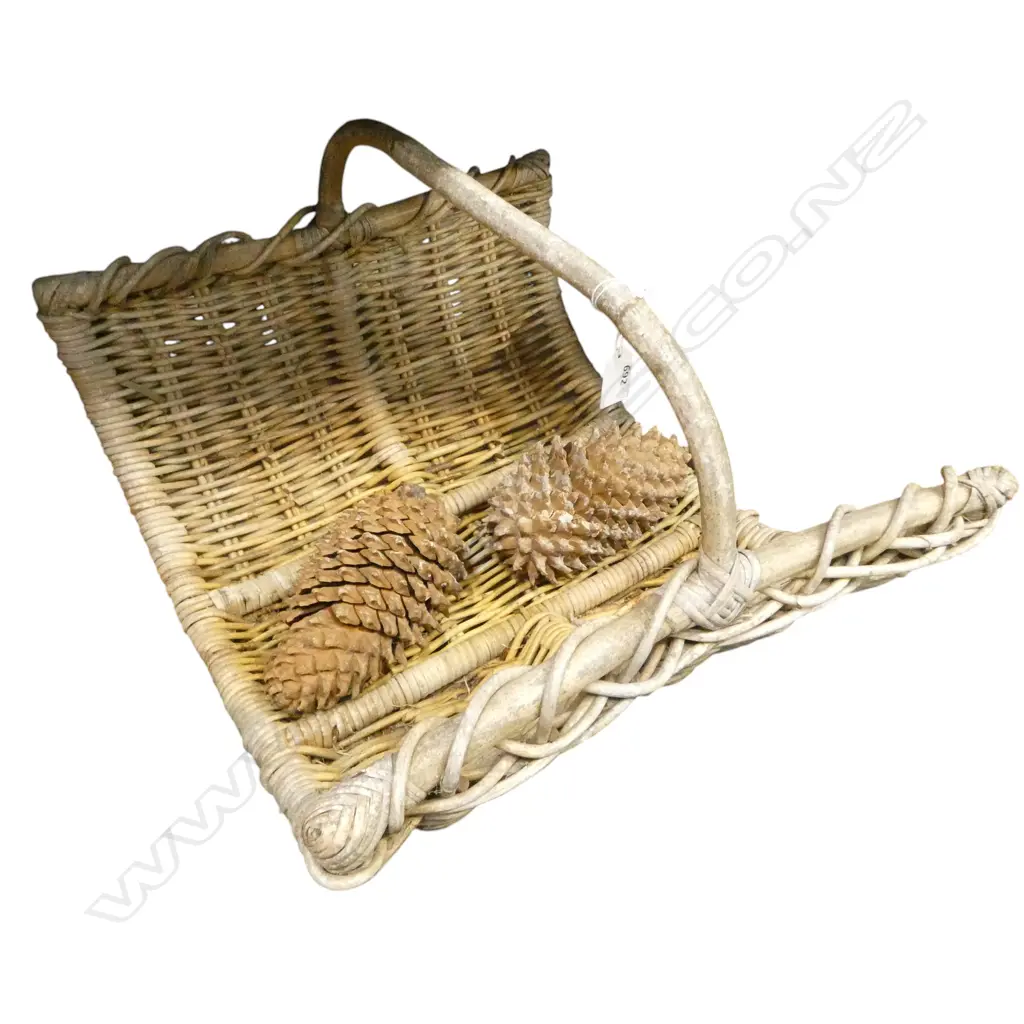 BASKET W.580mm + 2 PINE CONES Image 1++