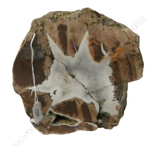 THUNDER EGG BOULDER (AUSTRALIA) WITH CHALCEDONY 'STAR'