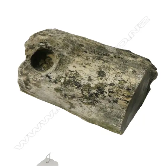 PETRIFIED WOOD AND KNOT CAVE