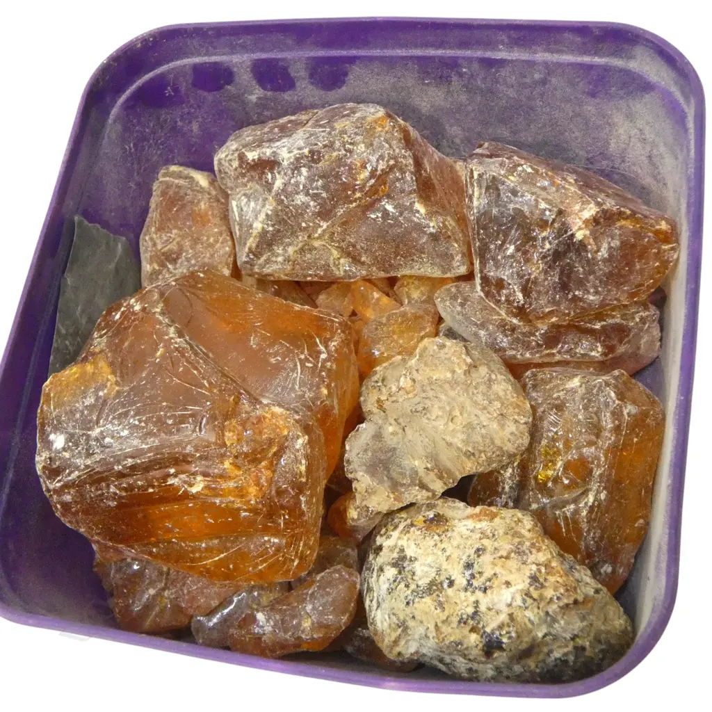 KAURI GUM Image 1++