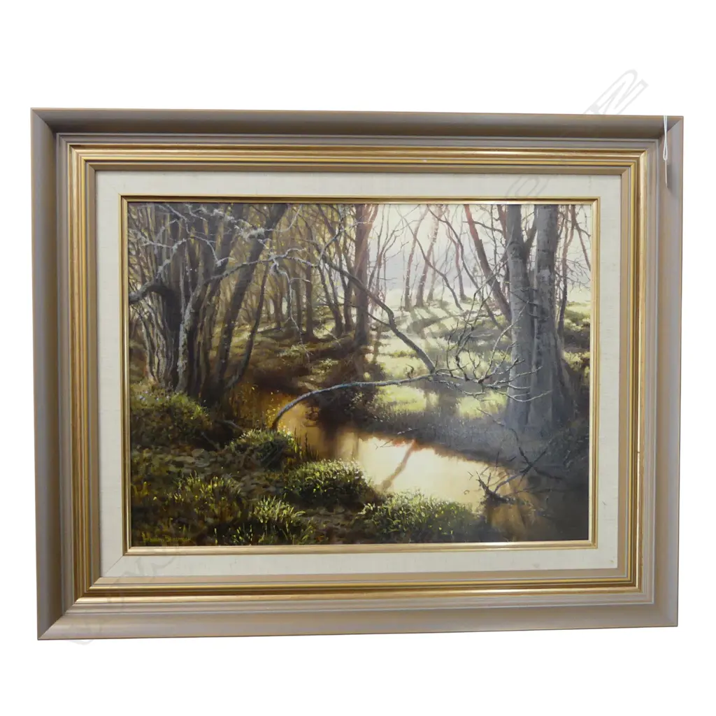 GRAHAM BRADDOCK 'SHADOWED CREEK' OIL ON BOARD '89 430x585mm Image 1++