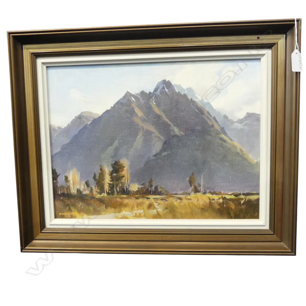 BRENT TROLLE 'MT ALEXANDER FIRST LIGHT FROM AICKENS WESTLAND' OIL ON CANVAS 295x395mm  Image 1++