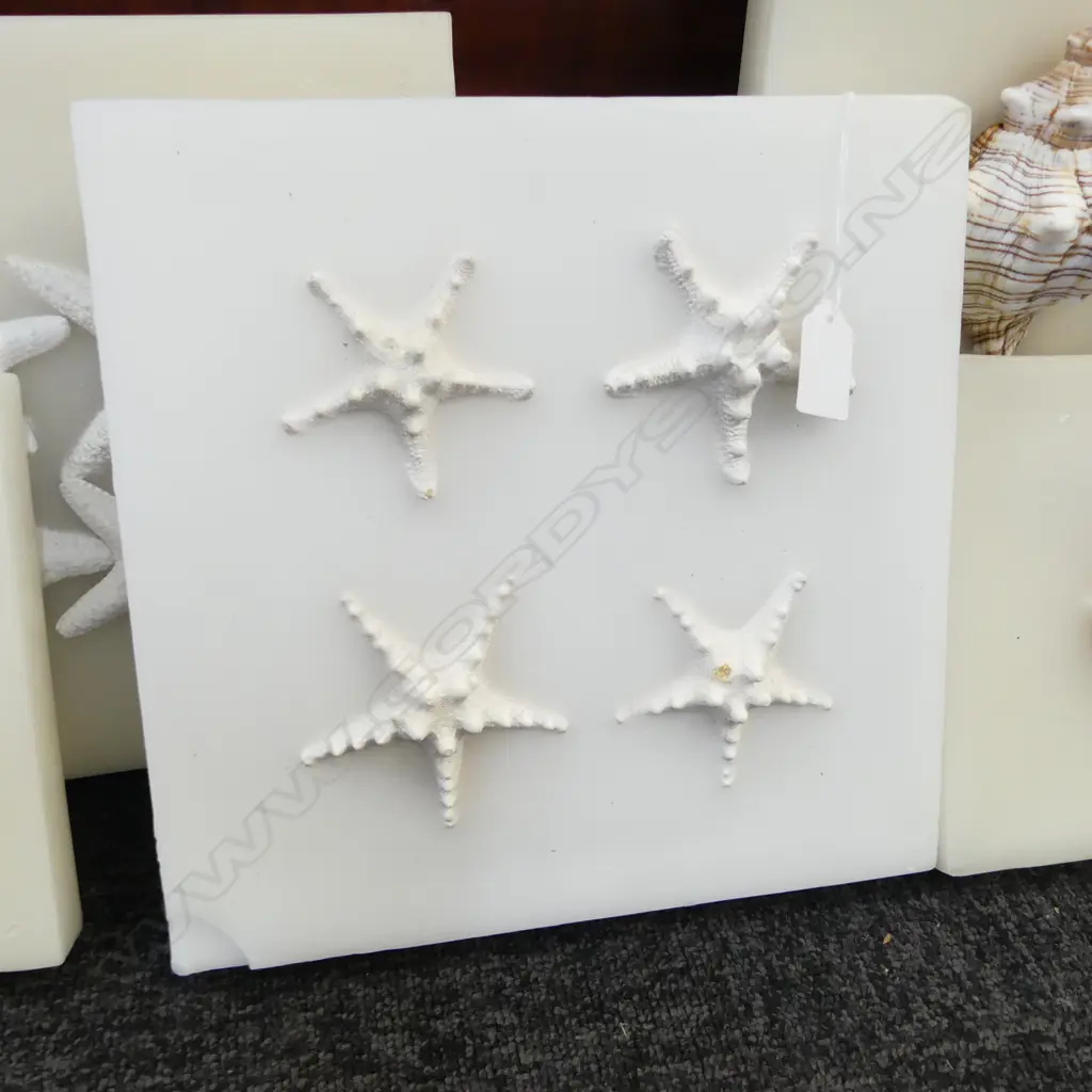 7 SIGNED MIXED MEDIA WORKS, SHELLS MOUNTED TO WAX BOARD, LASRGEST 400x400mm one damaged Image 1++