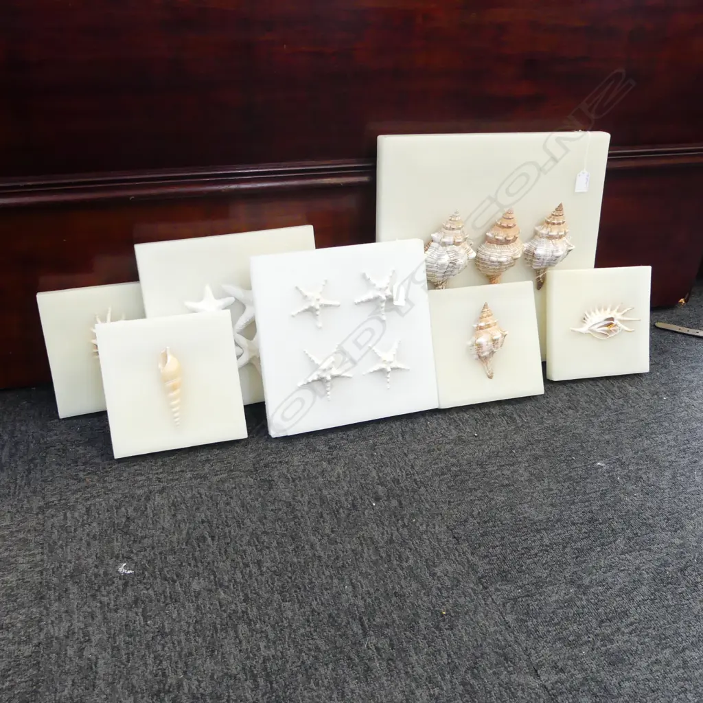 7 SIGNED MIXED MEDIA WORKS, SHELLS MOUNTED TO WAX BOARD, LASRGEST 400x400mm one damaged Image 1++