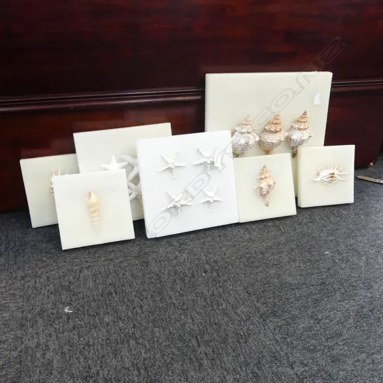 7 SIGNED MIXED MEDIA WORKS, SHELLS MOUNTED TO WAX BOARD, LASRGEST 400x400mm one damaged