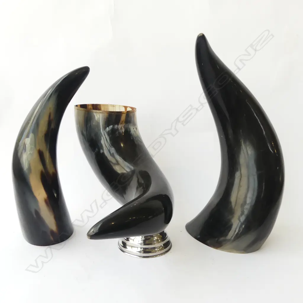 3 POLISHED HORNS H.400mm Image 1++