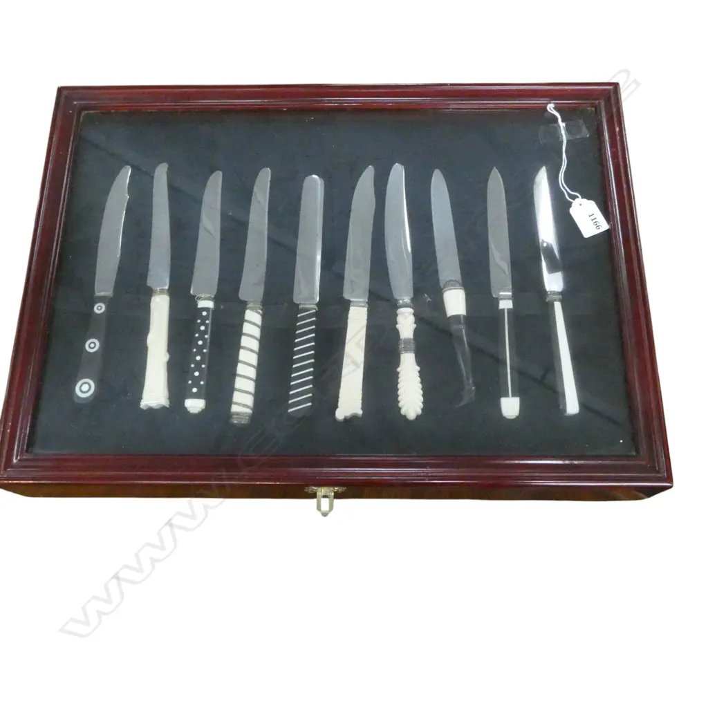 10 FRAMED KNIVES; BONE & EBONY HANDLES 375x530mm Image 1++