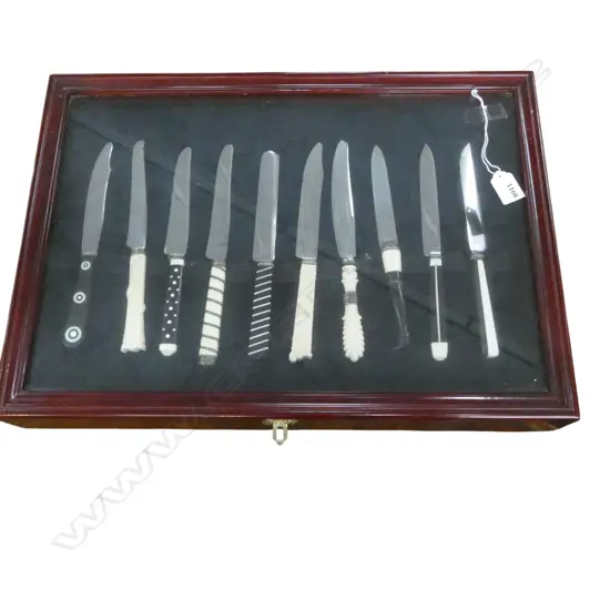 10 FRAMED KNIVES; BONE & EBONY HANDLES 375x530mm