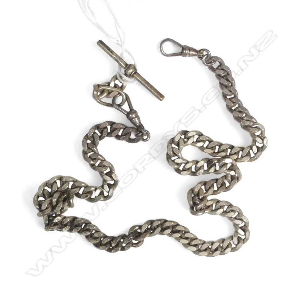 S/SILVER ALBERT 56G Image 1++