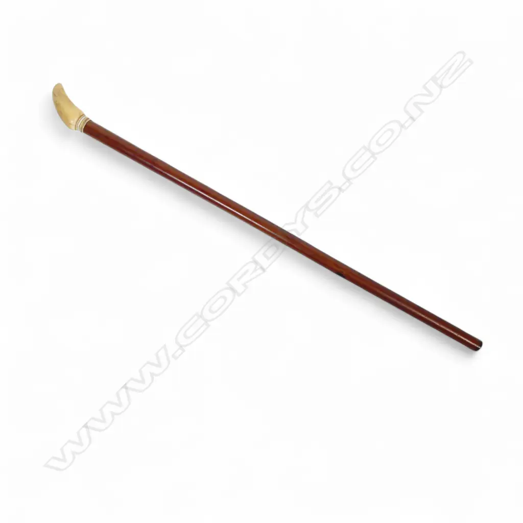 MARINE-IVORY TOOTH TOPPED MALACCA CANE, L.830mm Image 1++