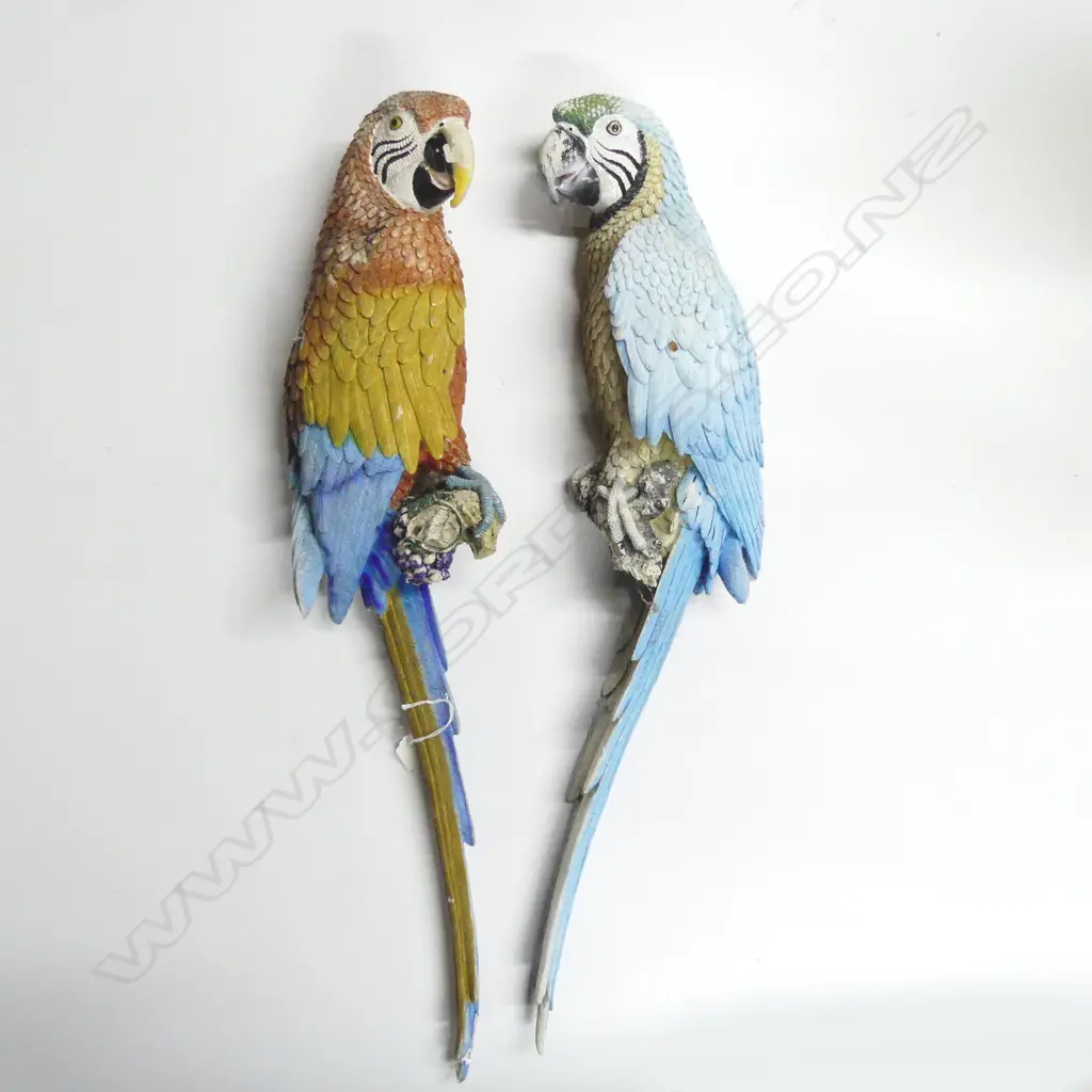 2 RESIN WALL-MOUNTED MACAW PARROTS L.720mm Image 1++