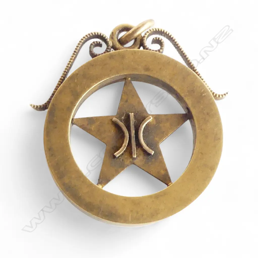 15CT MEDAL 6.9gms Image 1++