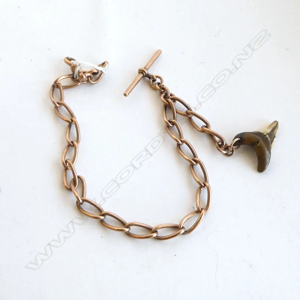 9ct GOLD EDWARDIAN FOB CHAIN L.330mm 40gms with shark tooth pendant Image 1++
