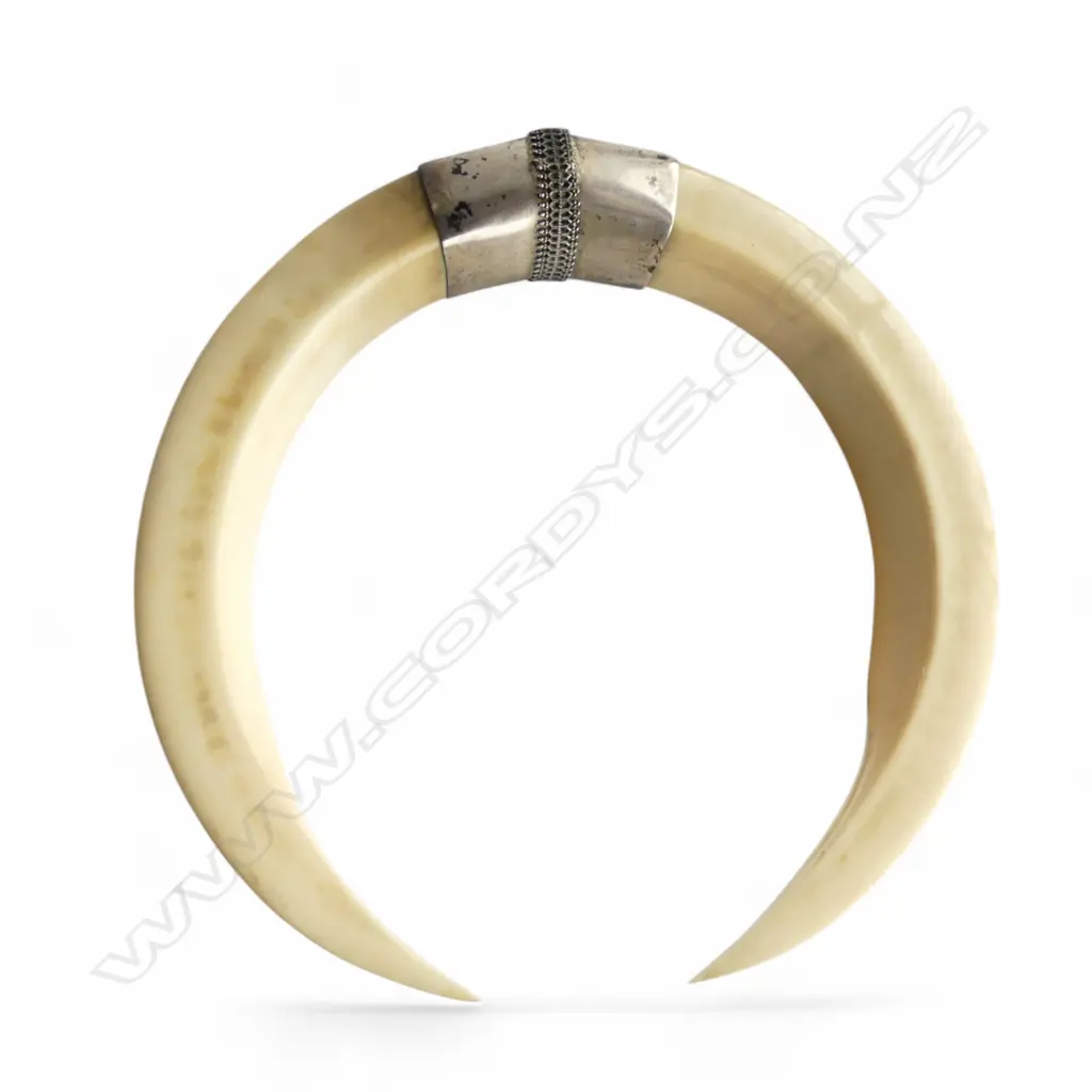 TUSK ORNAMENT WITH SILVER MOUNT Image 1++