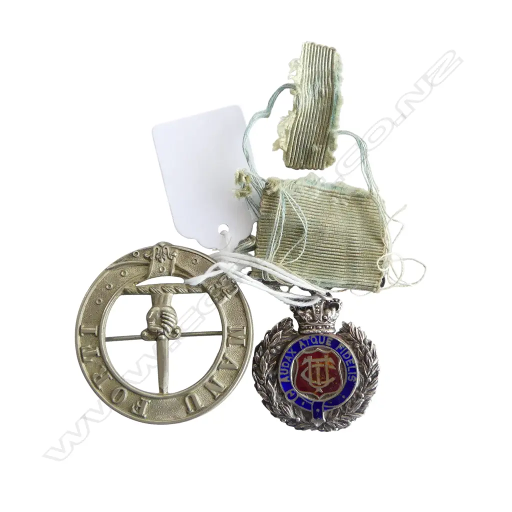 2 MEDALS; MANU FORTI 45mm dia, AUDAX ATQUE FIDELIS Image 1++